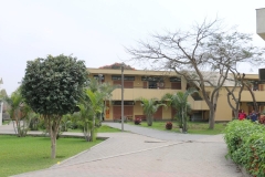 Sede-Comas-20