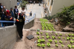Sede-El-Agustino-39